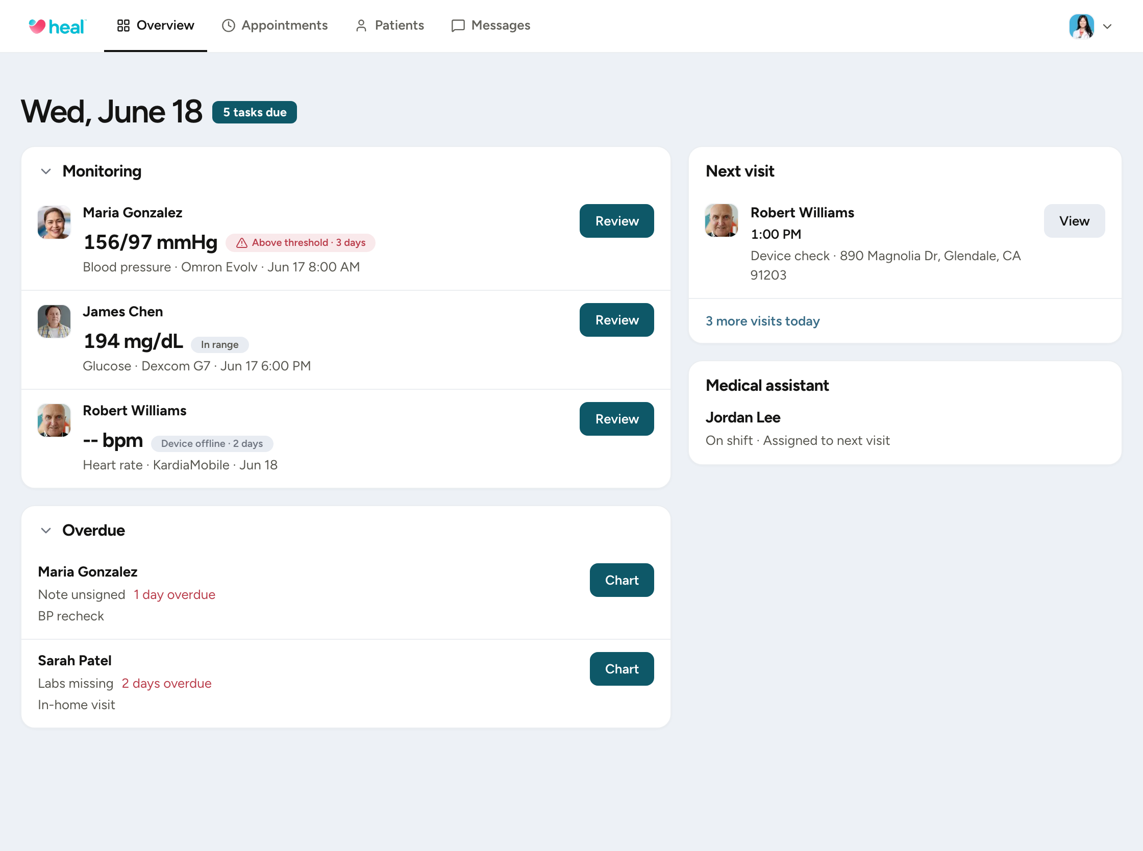 Heal physician daily overview with monitoring alerts and review actions in iPad frame